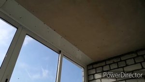 Что делать если нас атакуют насекомые? Божьи коровки