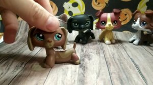 Ужасные лпс с алиэкспресс?//LPS//Распаковка