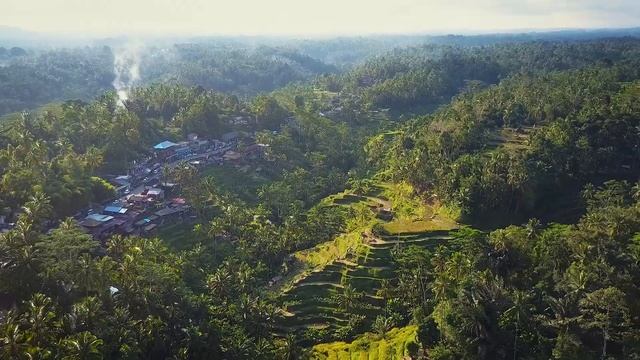 Ubud • Bali from above | a drone adventure 【4K】 смотреть онлайн