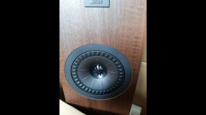 KEF Q350 walnut с Pult.ru.