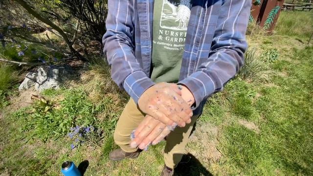 Ceanothus Flowers: Quick Gardening Soap смотреть онлайн