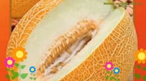 Дыня (Дыня Дюна). Краткий обзор: Дыня описание характеристик, где купить семена cucumis melo Дюна