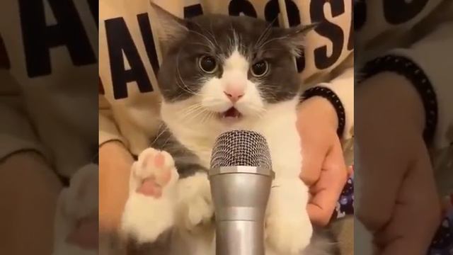 ??⚡️Воздушная тревога Одесса и область⚡️