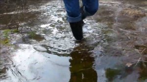 Rubber boots №163 - САПОГИ В ЛЕСНОЙ ВОДЕ
