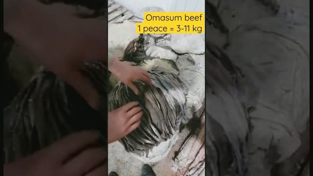 Говяжья книжка Россия / Субпродукты / Omasum / Meat Offal Russia / 肉内脏 / 奥马苏姆 / 03.09.2022