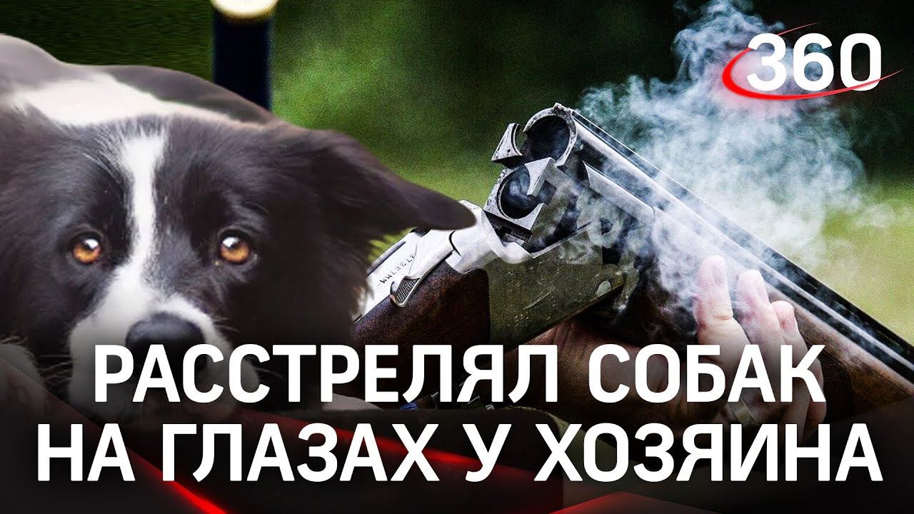 Три минуты ради собаки. Подпишись ради пса