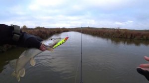 ЛУЧШИЙ ПОВОДОК на щуку из струны СВОИМИ РУКАМИ