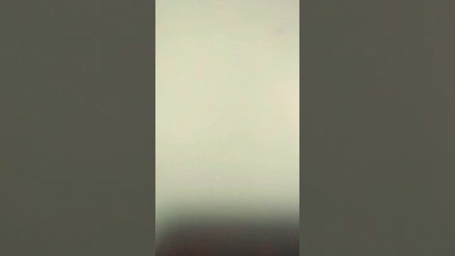 Как морковная палочка провела Хеллоуин.mp4