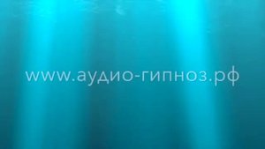Альфа ритмы