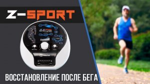 Welbutech Z-Sport: массажёр для восстановления после бега