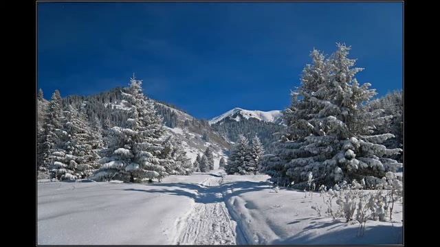 композиция Winter(ЗИМА) смотреть онлайн