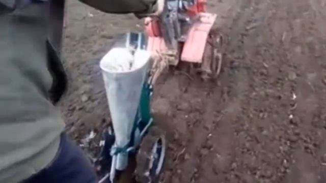 Сажалка для чеснока Ярiло