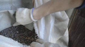 Дробилка для керамзита в работе