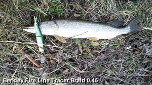 Обзор плетеных шнуров: Berkley, PowerPro, Aiko, Daiwa, Sunline, Varivas Часть 1