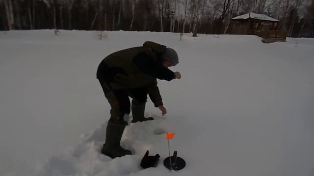 Поимка щуки 03.02.17 в Ихтиологе! смотреть онлайн