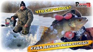 Рыбалка на мормышку Собачий проран р.Волга.