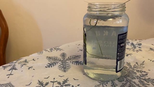 Самагон из зубровки смотреть онлайн