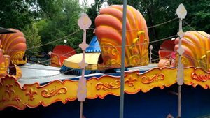 Ракушки в Лианозовском парке
