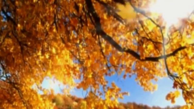 Любимые песни нашего двора. Листья желтые медленно падают Борис Потеряев и Валерий Сергеев.mp4