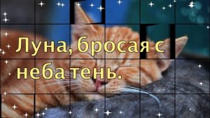 Спокойной ночи! (ТЕБЕ ОТ МЕНЯ) Красивое пожелание спокойной ночи. Музыкальная видео открытка