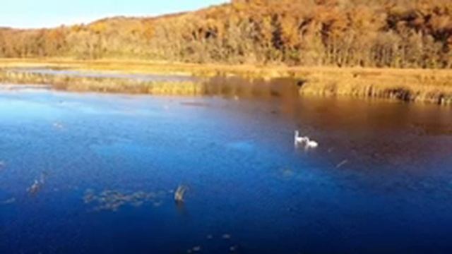 Самая Нежная и красивая музыка антистресс . Небесный сон! Очень красивая мелодия для души.#2 смотреть онлайн