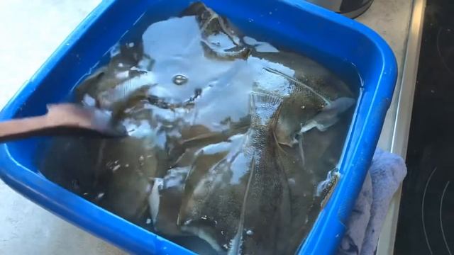 Солю и Сушу Камбалу ??