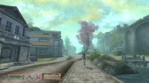 Обливион - 10 модов,которые сделают прохождение игры легче  и атмосфернее!!!