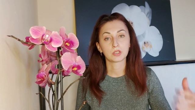 Расписание Мастер- Классов в магазине LETTO, Фестиваль ОРХИДЕЙ от Орхо?рай и LETTO смотреть онлайн