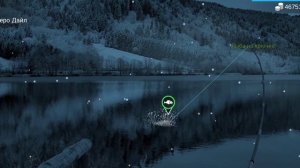 как и где ловить#белый лопатонос#my fishing world