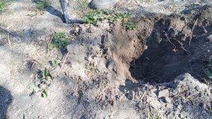 Как Поймать Крота. Проверка Метода с Крючками. Результат