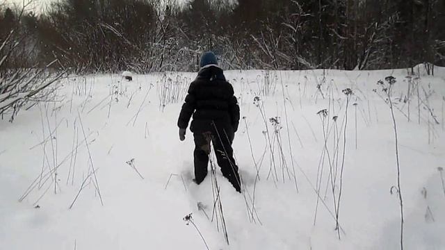Лыжи Тайга промысловые | Обзор смотреть онлайн