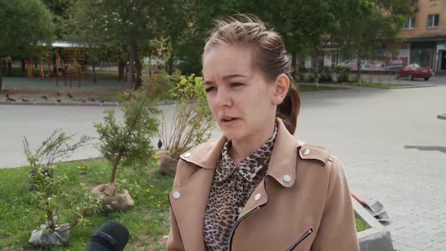 Первые хвойно-лиственные композиции высадили на площади Чайковского