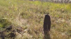 НЕ ОЖИДАЛИ НАЙТИ ТАКОЙ МЕТАЛЛ В ЛЕСУ