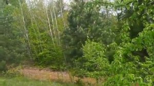 У Тещиной подруги|Интересные истории из жизни..