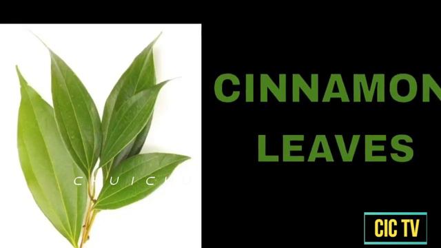 Leaves name in English |name of leaves| Kids|Nursery|children| leaf shapes | chu I chu |CIC TV | P2 смотреть онлайн