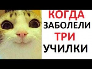 Лютые приколы. Заболели три УЧИЛКИ одновременно. УРААААА!!!