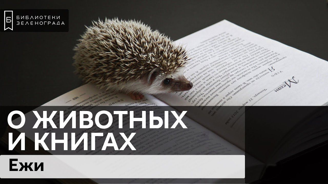 Подкаст "О животных и книгах" / Ёжики