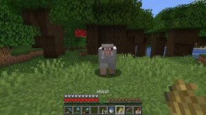 How to name the sheep Jeb_ - Minecraft