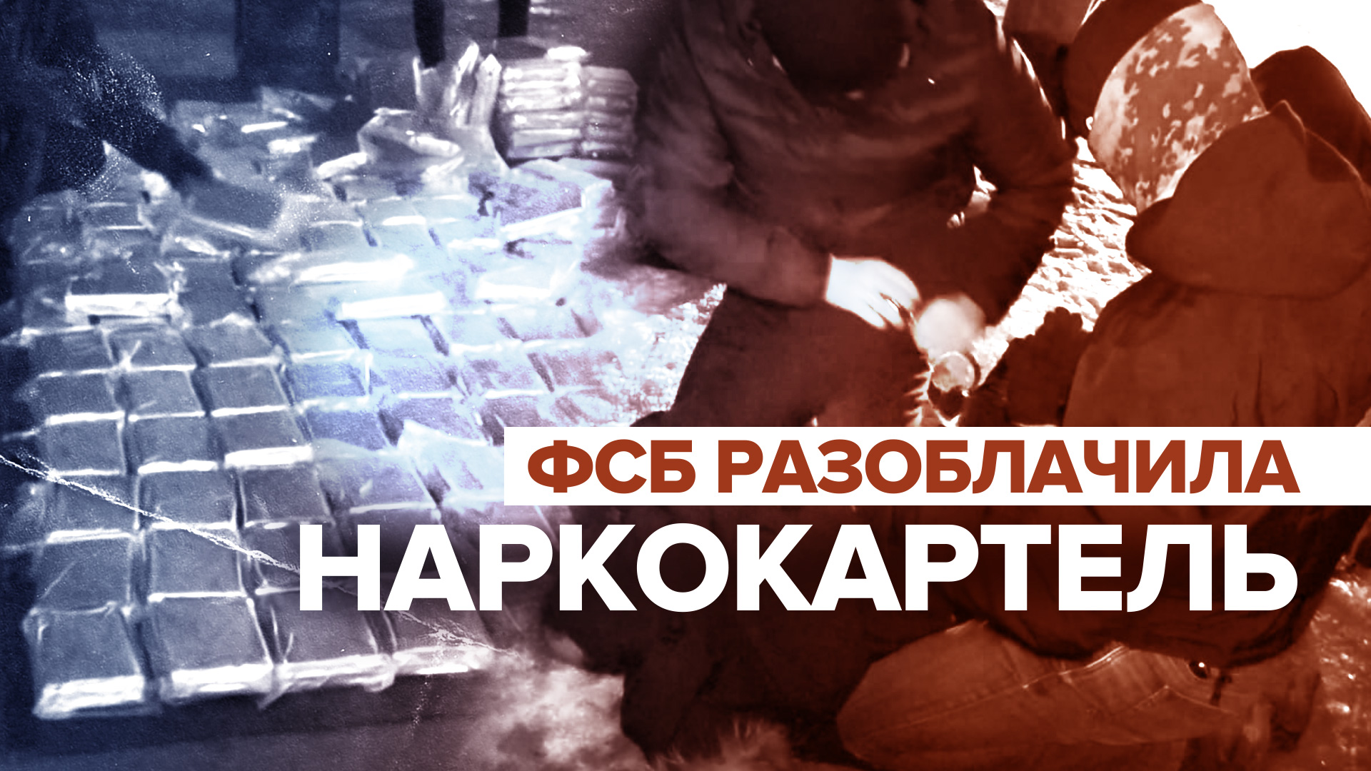 ФСБ разоблачила деятельность крупного наркокартеля на территории РФ — видео