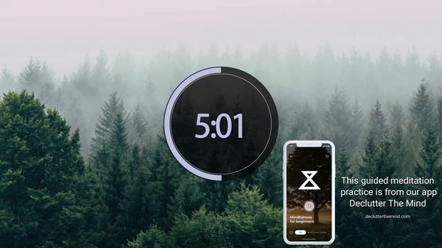 10 Minute Guided Meditation for Relaxation (No Music, Voice Only) смотреть онлайн