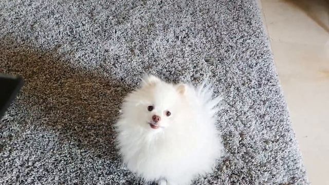 Готовлю вкусности, когда всё идёт не по плану... смотреть онлайн