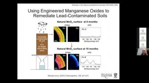 Minerals in Contaminated Environments: more than 25 years of Research, Reflection and New Ideas