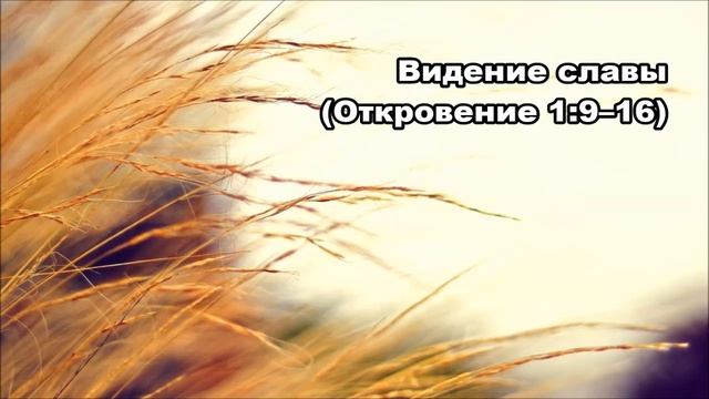 Тихое время с Живой Жизнью: Откровение 1:9–20 (02112019) смотреть онлайн