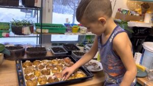 Картошка ? с салом в духовке
