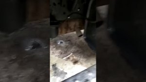 ЗИЛ 4331 двигатель Маз