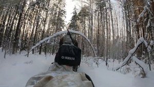 Пробираемся в избу / Охота на соболя / Промысел 2021/2022 / Не один в тайге