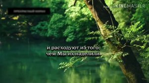 Спокойное чтение Корана, сура Сажда. Чтец Ибрахим ал - Асири