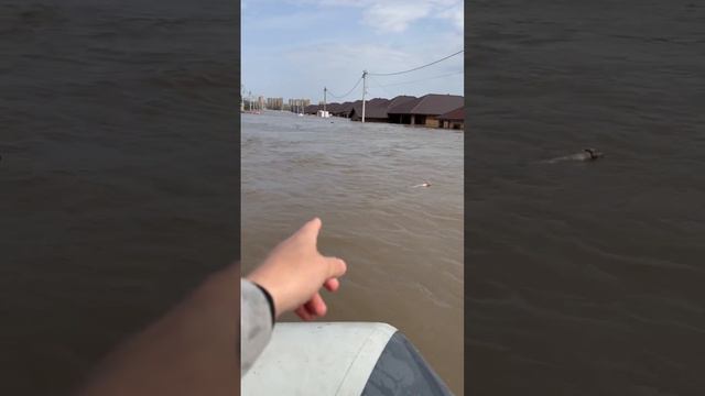 Поселок Дубовый плёс окончательно утоп.
