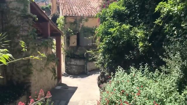 Ася из Нью-Йорка попала в больницу. Свёкр наорал из-за чайника. Муж не заступился. Курсы английског