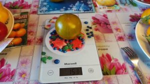 Томат - Восьмое чудо света .